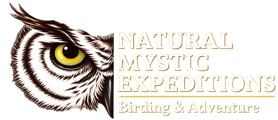 Natural Mystic Expeditions