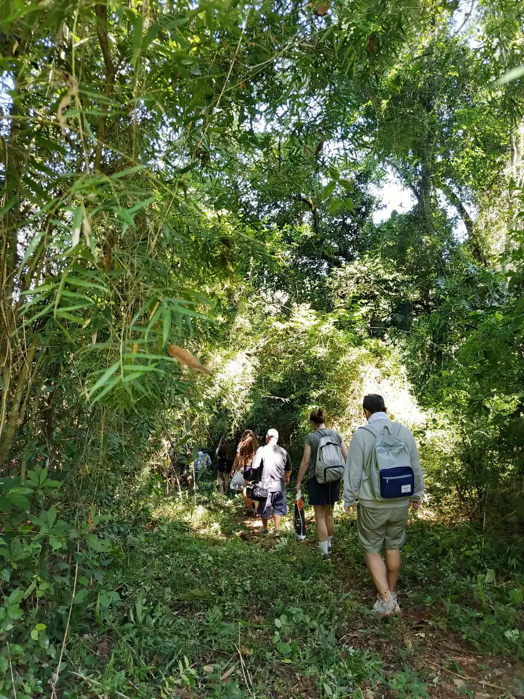 El grupo entra al sendero en fila, con el monte cerrado a los dos lados.