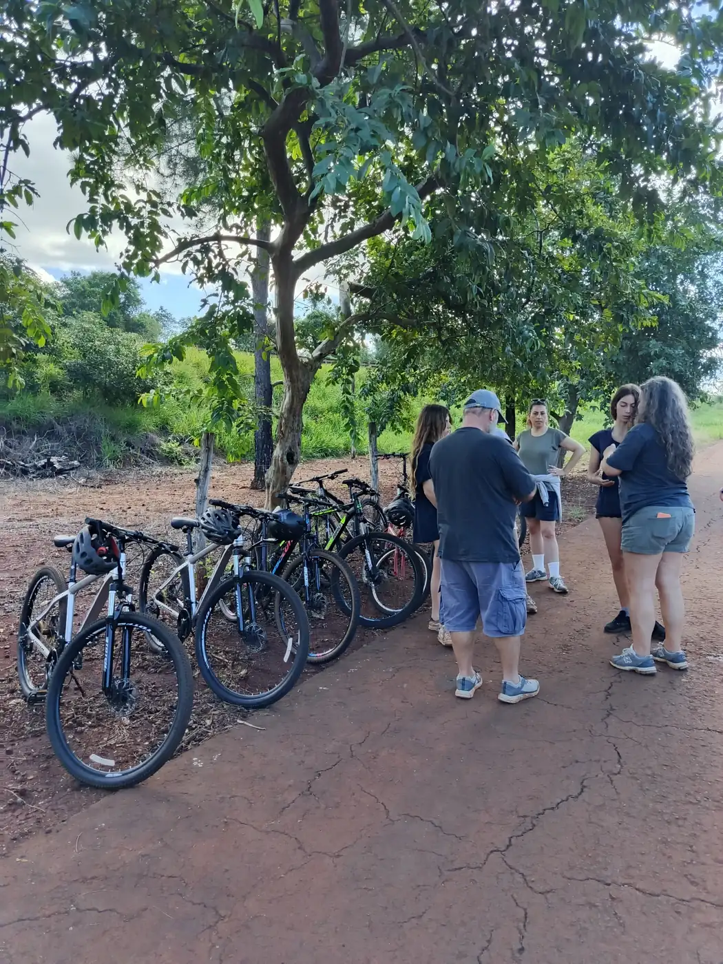 El grupo y las bicicletas en una parada a la sombra.
