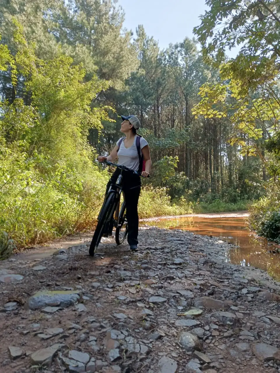 Un ciclista avanza por un tramo de camino pedregoso entre el bosque.